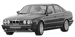 BMW E34 P1E6A Fault Code